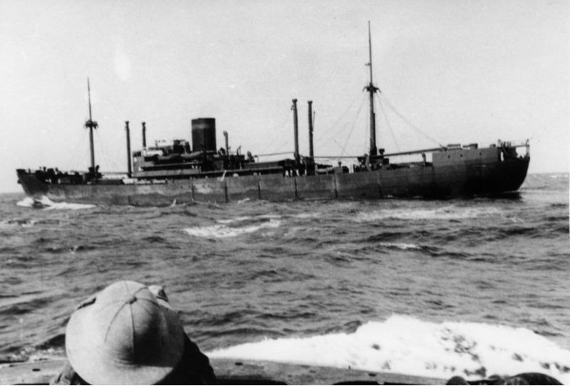 Kormoran