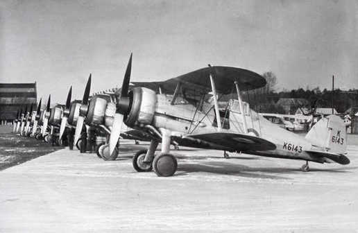 Gloster Gladiator - Pacific Eagles